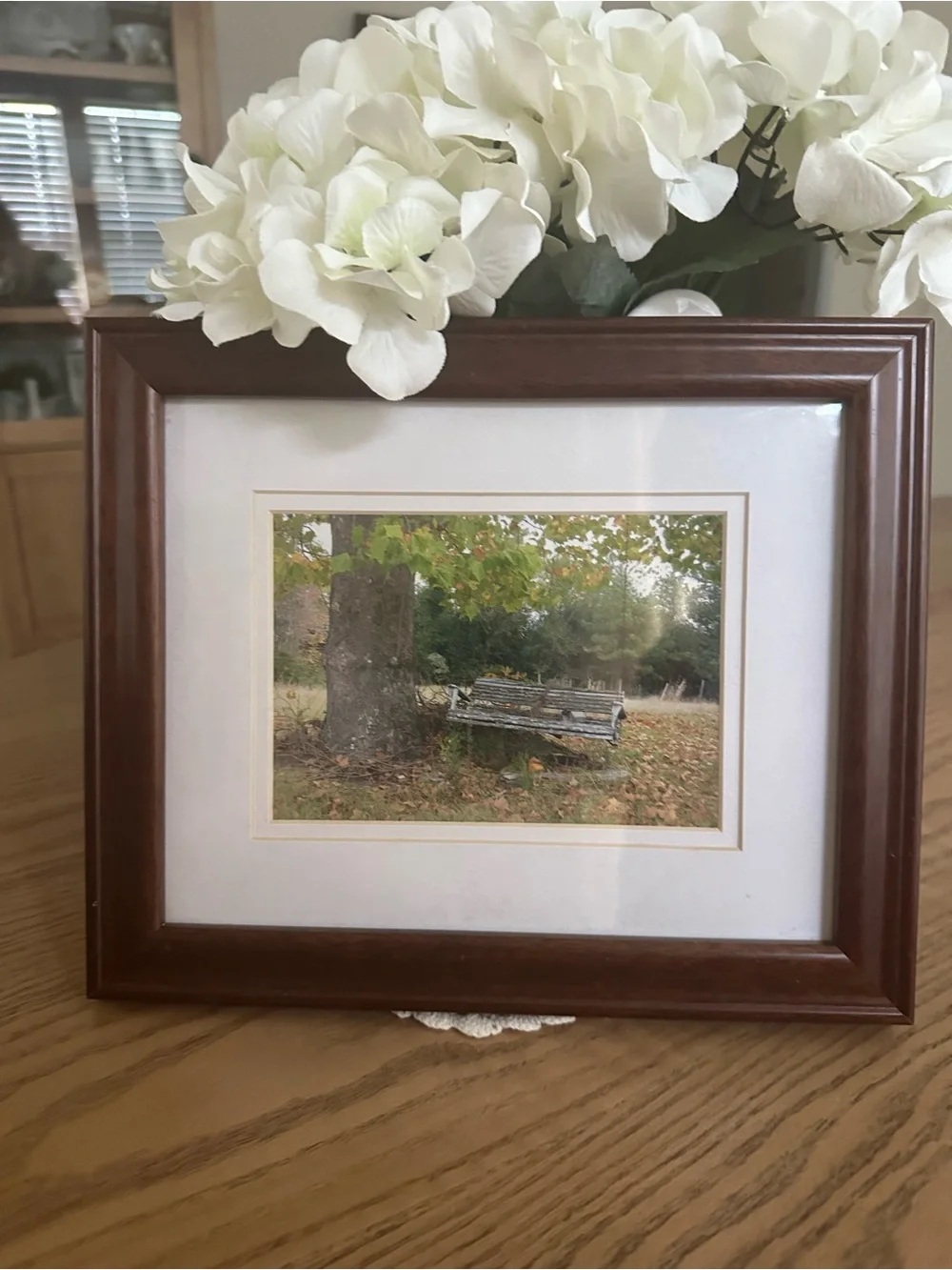 Beautiful Matted Wood Finish Brown Framed Wall Art - Tree w/ Old Swing. 9.5x11.5